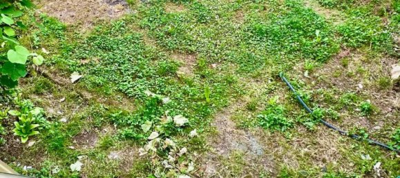 5 rooms House in Pietrasanta, Italy No. 299871 10