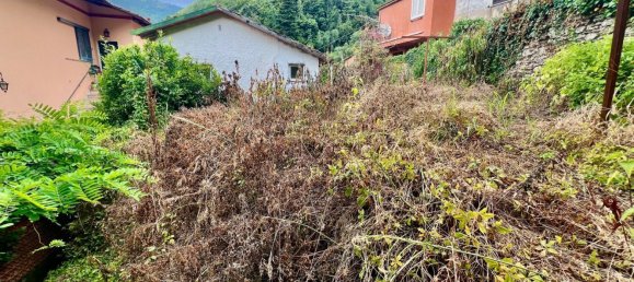 5 rooms House in Pietrasanta, Italy No. 299871 24