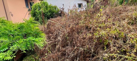 5 rooms House in Pietrasanta, Italy No. 299871 25