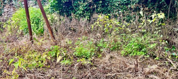 5 rooms House in Pietrasanta, Italy No. 299871 18