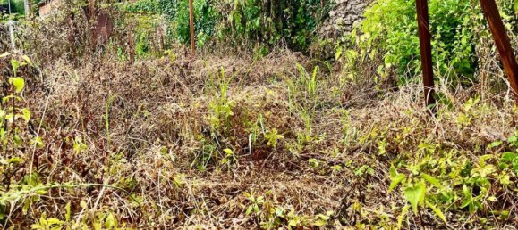 5 rooms House in Pietrasanta, Italy No. 299871 17