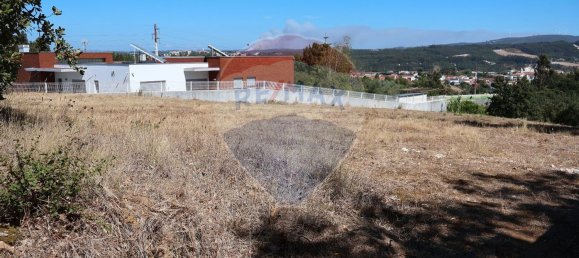 Terrain à Leiria, Portugal 4260m² No. 64296 8