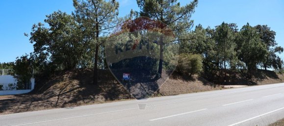 Terrain à Leiria, Portugal 4260m² No. 64296 13