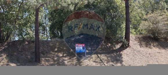 Terrain à Leiria, Portugal 4260m² No. 64296 14