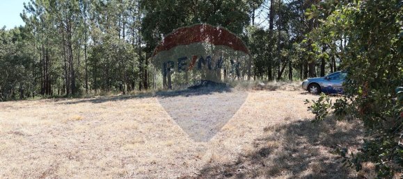 Terrain à Leiria, Portugal 4260m² No. 64296 10