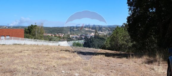 Terrain à Leiria, Portugal 4260m² No. 64296 3