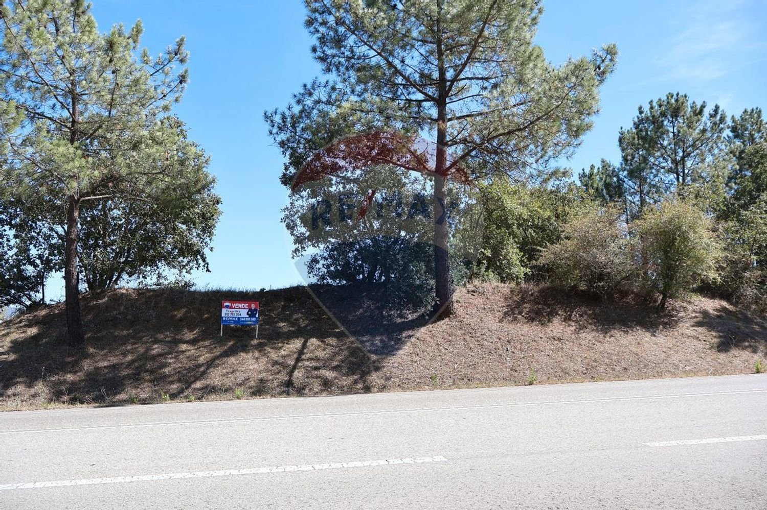 Terrain à Leiria, Portugal 4260m² No. 64296