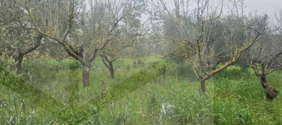 2 chambres Maison à Martina Franca, Italy No. 21215 21