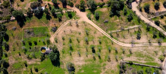 5 bedrooms Land in Loule, Portugal No. 100031 12