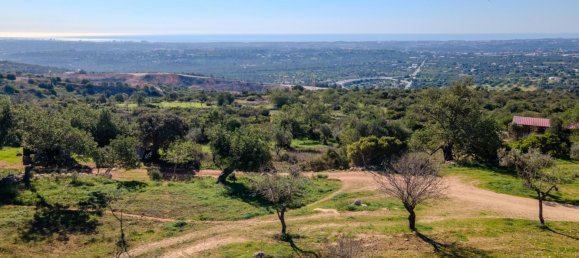 5 bedrooms Land in Loule, Portugal No. 100031 17