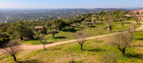 5 bedrooms Land in Loule, Portugal No. 100031 19