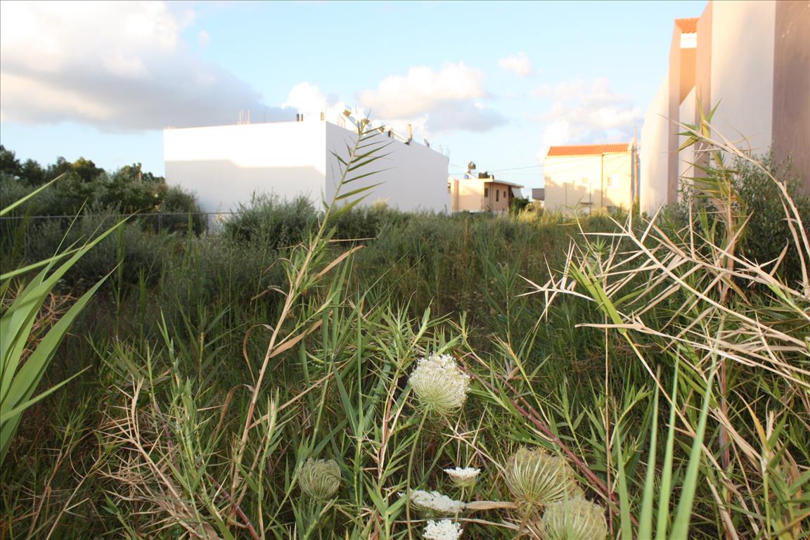 Hotel in Chania, Greece 1294m², Nr. 5610