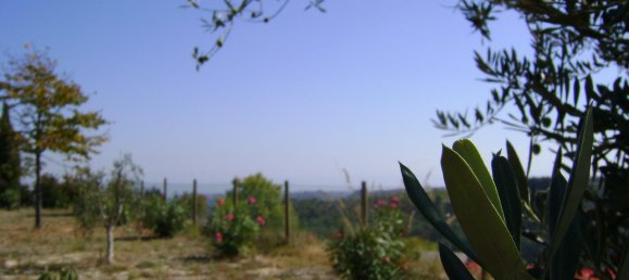 8 rooms Villa in Montefiore dell'Aso, Italy No. 163063 10