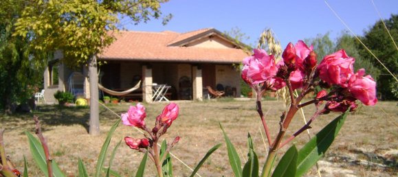 8 rooms Villa in Montefiore dell'Aso, Italy No. 163063 22