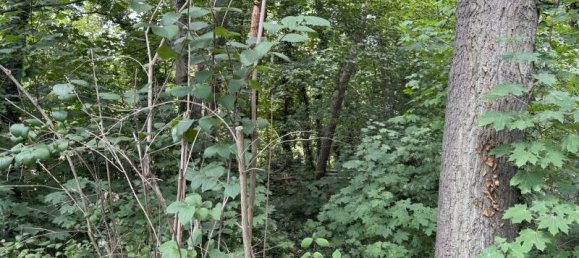 3-Zimmer Haus in Märkisch-Oderland, Germany, Nr. 268467 6