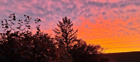 Adosado de 7 habitaciónes en Cuxhaven, Germany No. 186063 7