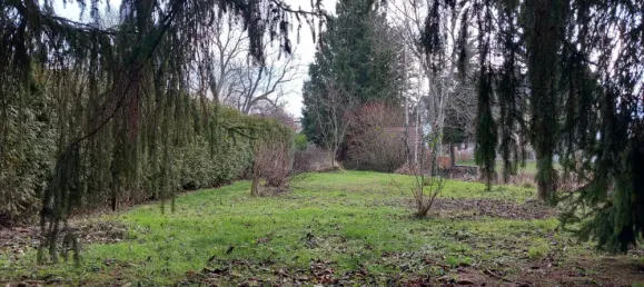 5-salle Maison à Saalekreis, Germany No. 58469 8