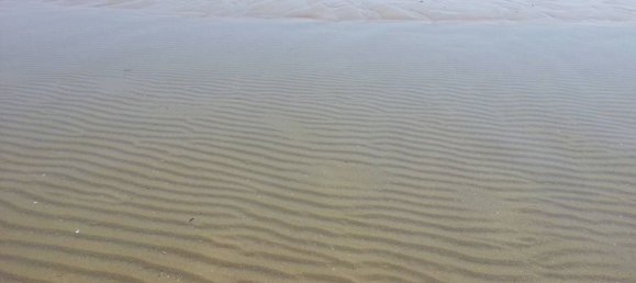 قطعة أرض في Fondi, Italy 56000متر مربع رقم 198909 5