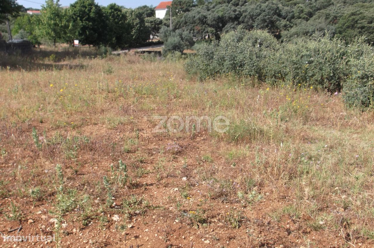 Земельный участок 2150м² в Томар, Португалия № 68859