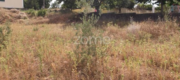 Земельный участок 2150м² в Томар, Португалия № 68859 21