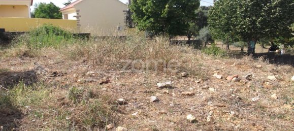 Земельный участок 2150м² в Томар, Португалия № 68859 9