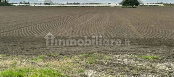 Grundstück in Qualiano, Italy 20000m², Nr. 264523 3