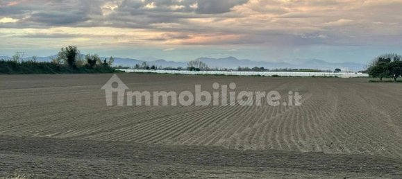 Grundstück in Qualiano, Italy 20000m², Nr. 264523 2