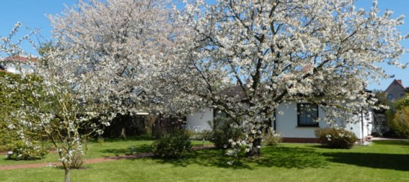 4 Schlafzimmer Bungalow in Vorpommern-Greifswald, Germany, Nr. 206395 2
