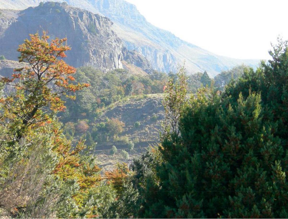 Terrain à Neuquen, Argentina No. 48531