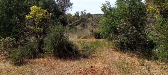 Grundstück in Loule, Portugal 11136m², Nr. 60559 7