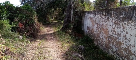 Grundstück in Loule, Portugal 11136m², Nr. 60559 8