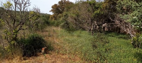 Grundstück in Loule, Portugal 11136m², Nr. 60559 9