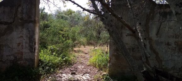 Grundstück in Loule, Portugal 11136m², Nr. 60559 2