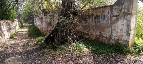 Grundstück in Loule, Portugal 11136m², Nr. 60559 4