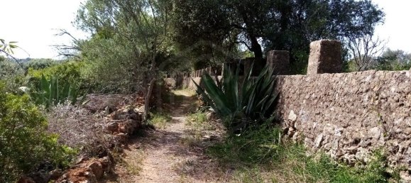 Grundstück in Loule, Portugal 11136m², Nr. 60559 15