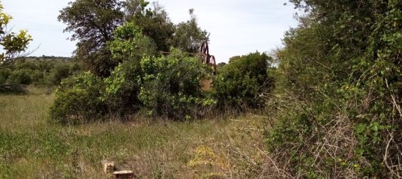 Grundstück in Loule, Portugal 11136m², Nr. 60559 13