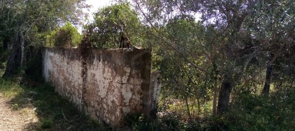 Grundstück in Loule, Portugal 11136m², Nr. 60559 14