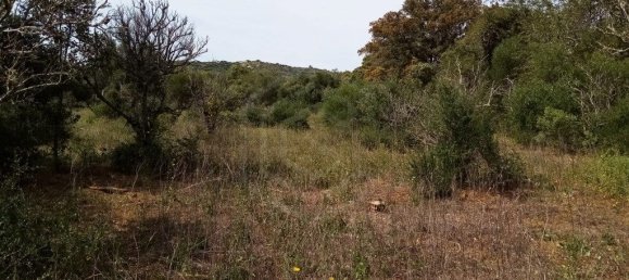 Grundstück in Loule, Portugal 11136m², Nr. 60559 11