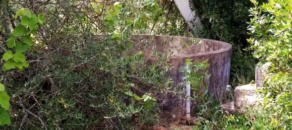 Grundstück in Loule, Portugal 11136m², Nr. 60559 12