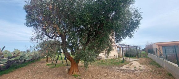 Studio in Brindisi, Italy No. 43376 12