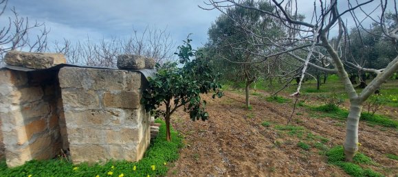 Studio in Brindisi, Italy No. 43376 20