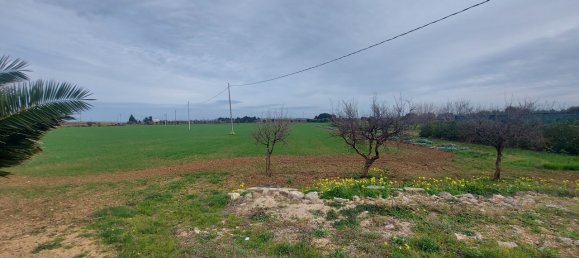 Studio in Brindisi, Italy No. 43376 14