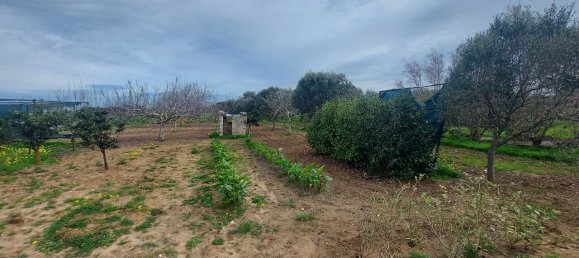 Studio in Brindisi, Italy No. 43376 18