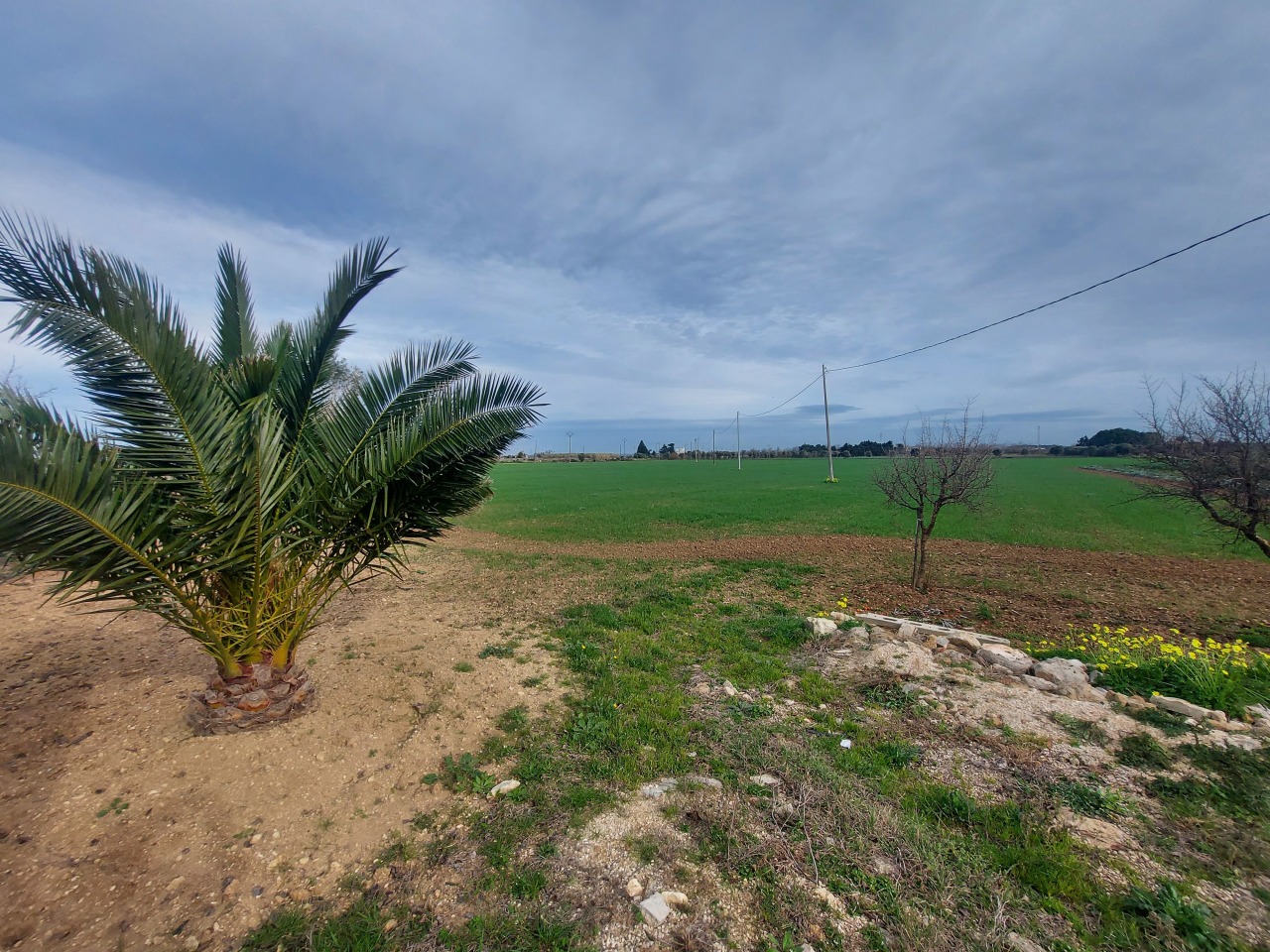 Studio in Brindisi, Italy No. 43376