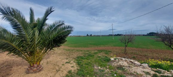 Studio in Brindisi, Italy No. 43376 13