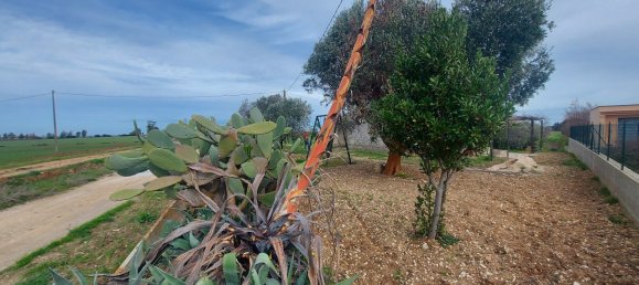 Studio in Brindisi, Italy No. 43376 11