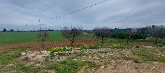 Studio in Brindisi, Italy No. 43376 4