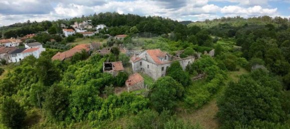 3 chambres Villa à Penalva do Castelo, Portugal No. 22050 7