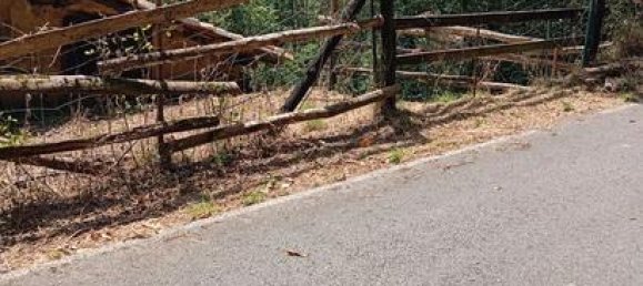 7500m² Land in Lena, Spain No. 183055 7