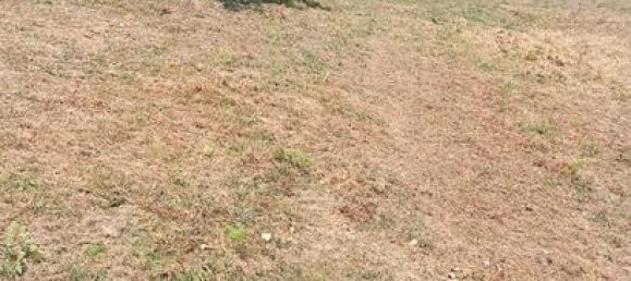 7500m² Land in Lena, Spain No. 183055 8